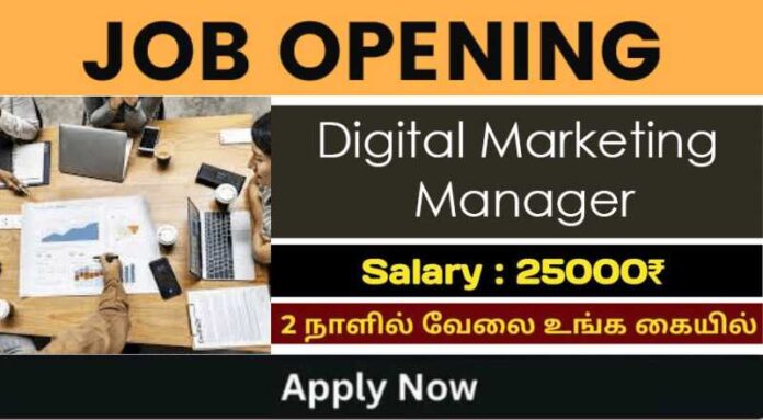 Digital Marketing Manager Job 2024