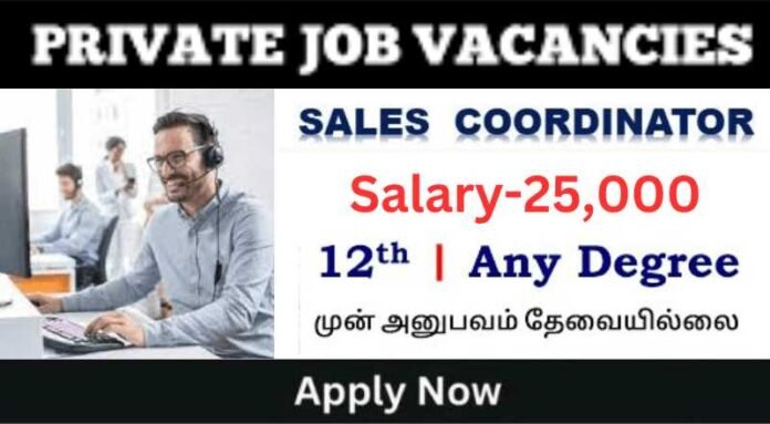 Sales Coordinator Job 2024