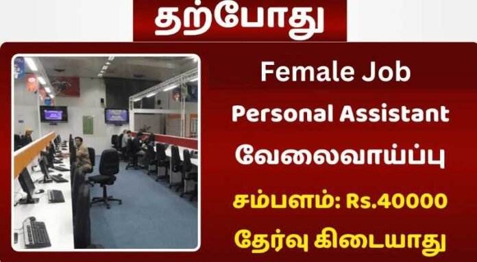 Personal Assistant Job 2024