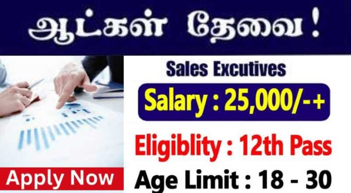 Sales Executive Job 2024