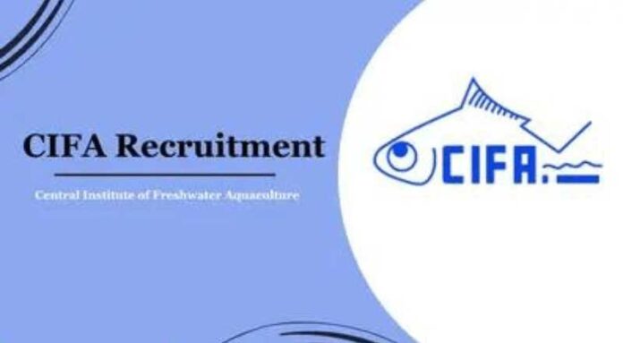 CIFA Recruitment 2024