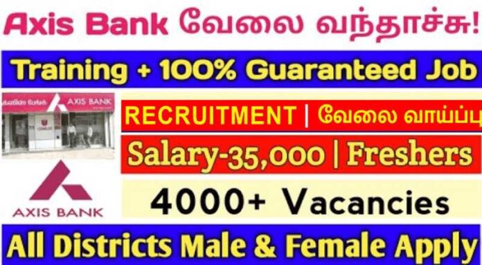 Axis Bank Relationship Manager Job 2024