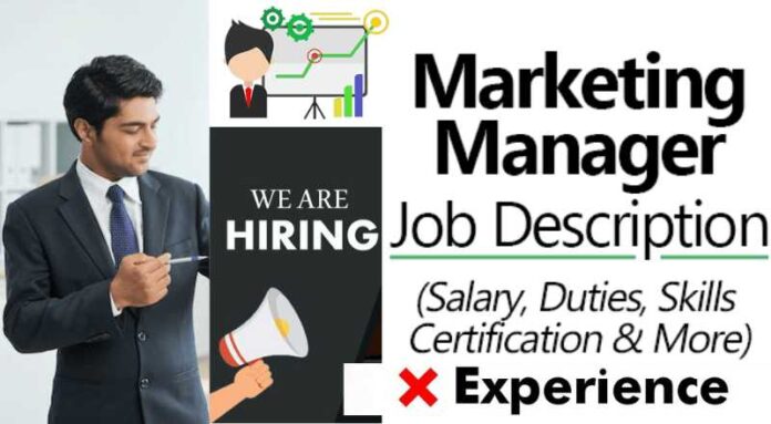 Digital Marketing Manager Job 2024