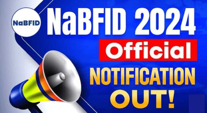 NaBFID Recruitment 2024