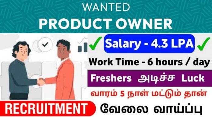Product Owner Job 2024