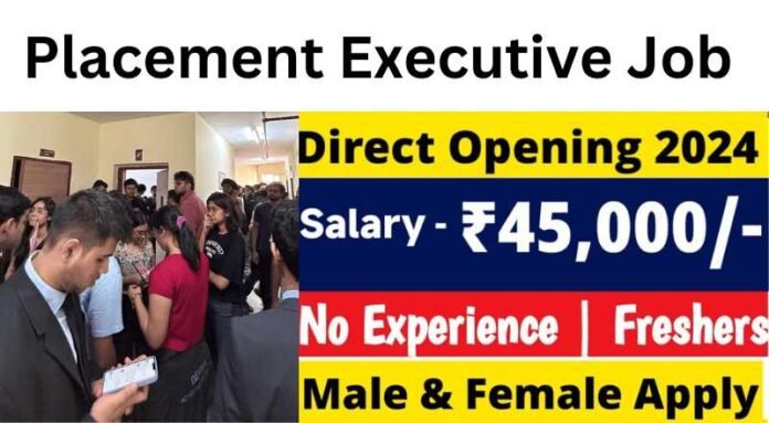 Placement Executive Job 2024