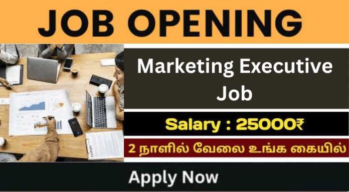 Marketing Executive Job 2024