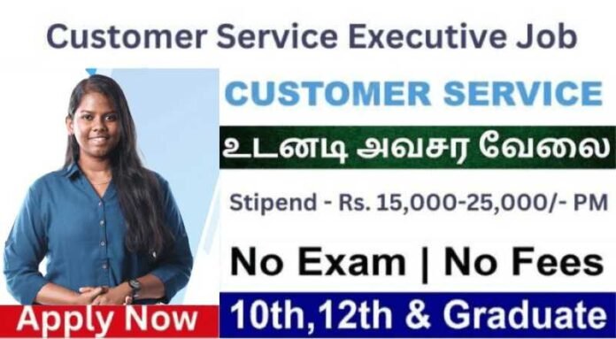 Customer Care Executive Job 2024