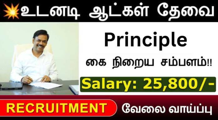 Principle Job 2024