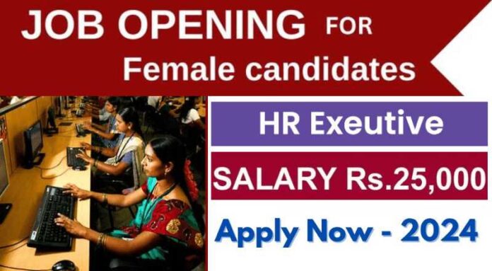 HR Executive Job 2024