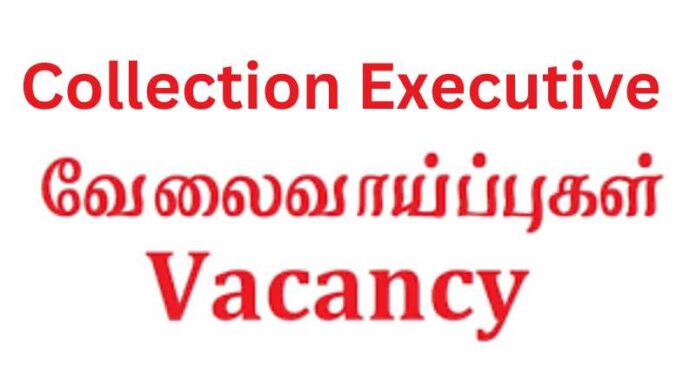 Collection Executive Job 2024