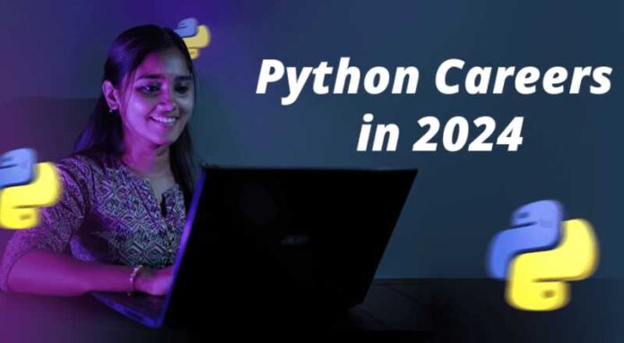 Python Developer Job 2024