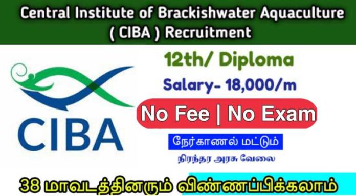 CIBA Chennai Recruitment 2024