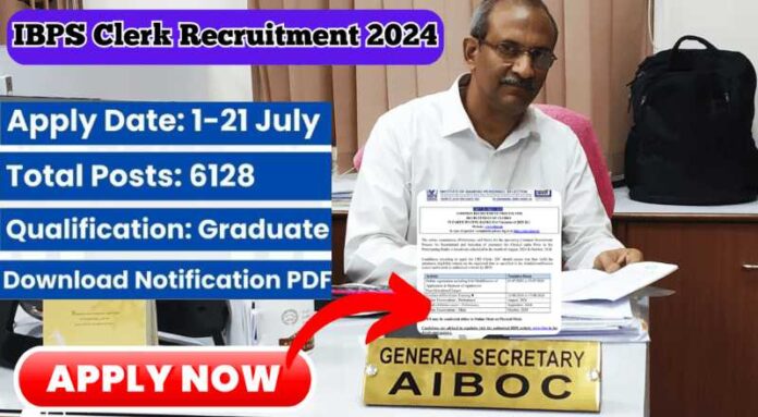 IBPS Clerk Recruitment 2024 6000 Posts ; Apply Now