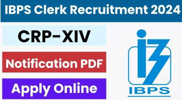 IBPS CRP Clerk XIV Recruitment 2024