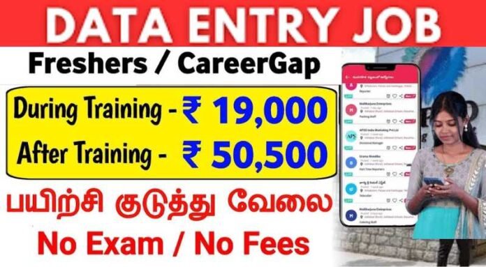 Data Entry Internship Job 2024