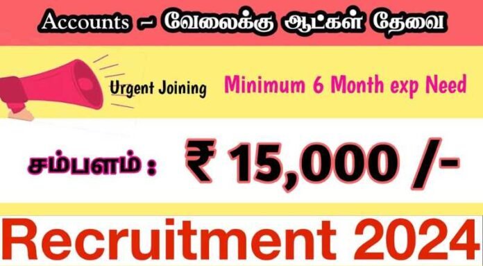 Accountant Job 2024