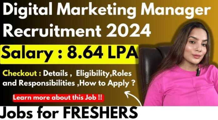 Digital Marketing Manager Job 2024