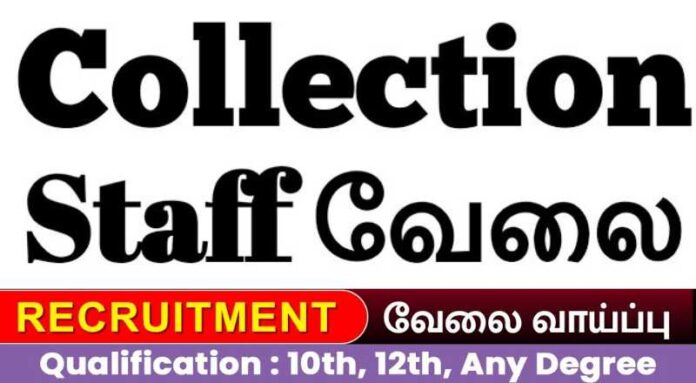 Collection Staff Job 2024