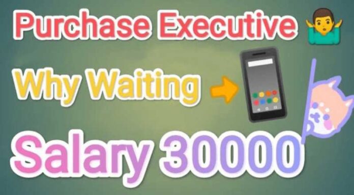 Purchase Executive Job 2024