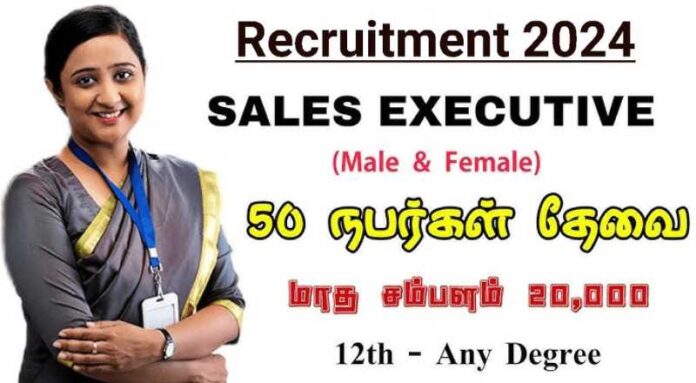 Sales Executive Job 2024