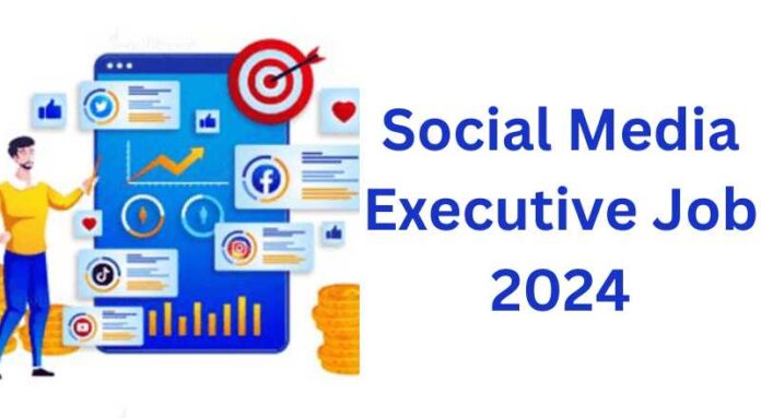 Social Media Executive Job 2024