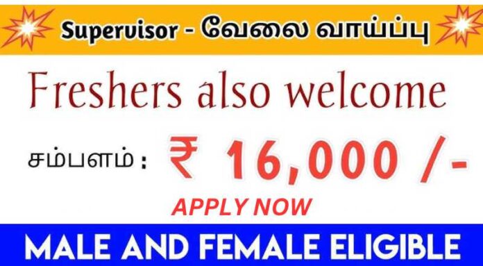 Supervisor Job 2024