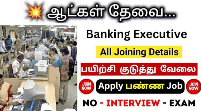 Banking Executive Job 2024