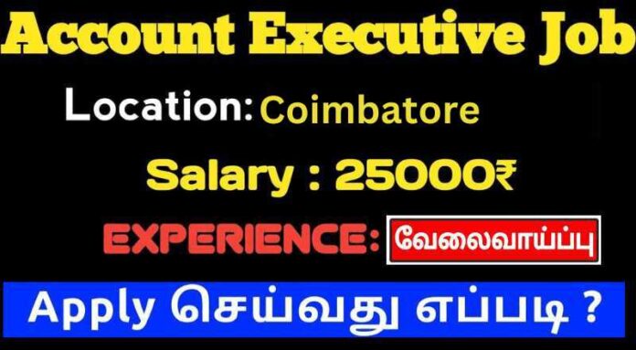 Accountant Job 2024