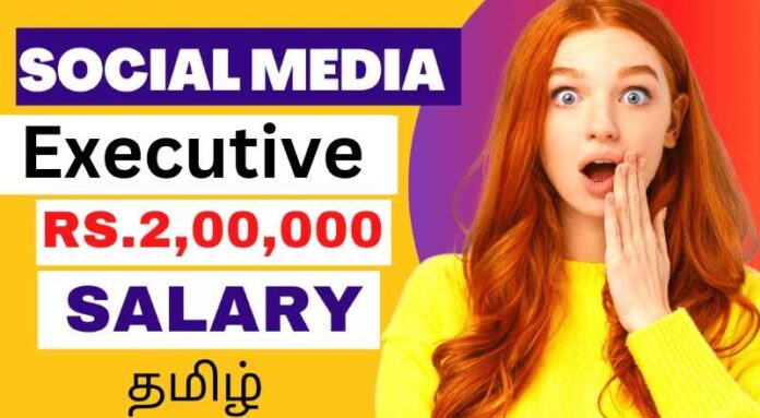 Social Media Executive Job 2024