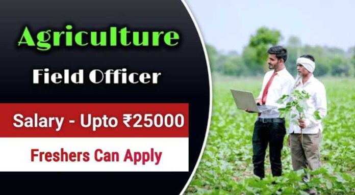 Agriculture Field Officer Job 2024