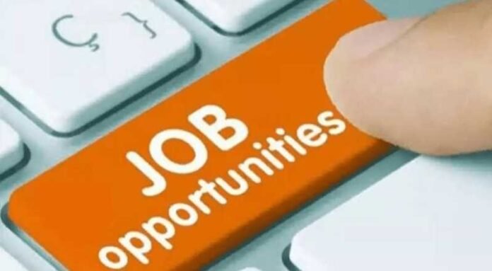 Application Developer Job 2024