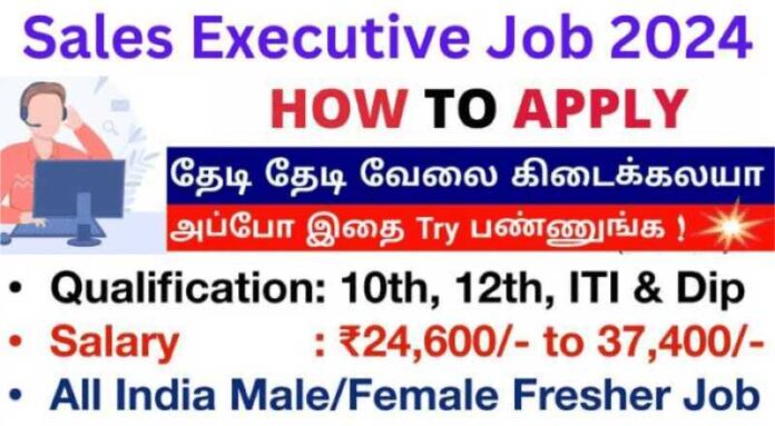 Sales Executives Job 2024