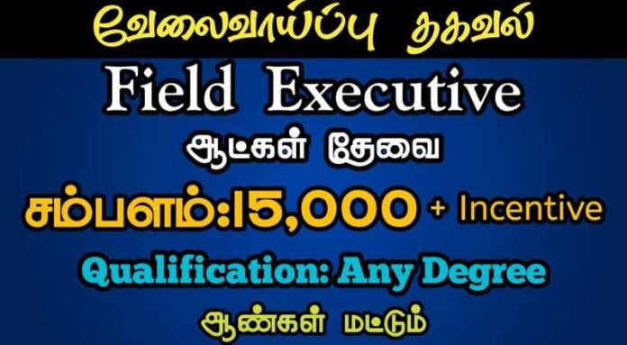 Field Executive Job 2024