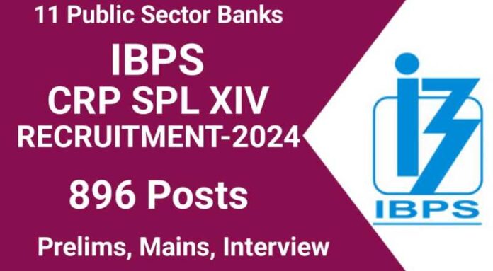 IBPS CRP SPL XIV Recruitment 2024