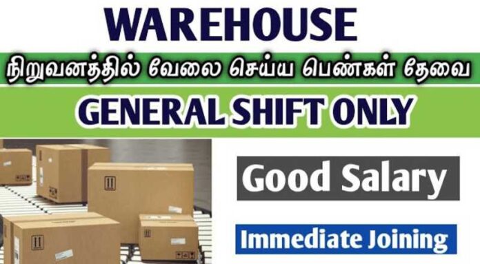 Warehouse Job 2024