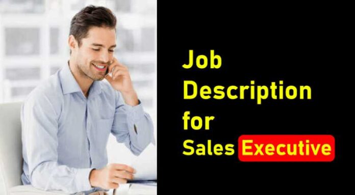 Sales Executive Job 2024