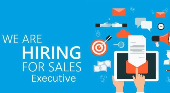 Sales Executive Job 2024