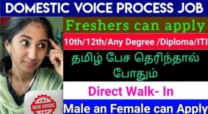 Domestic Voice Process Job 2024