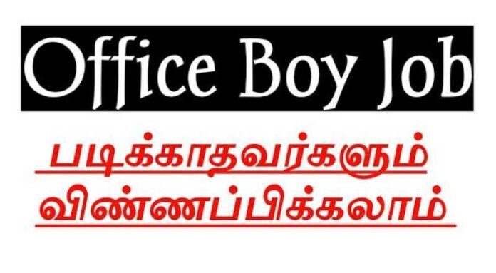 Office Boy Job 2024