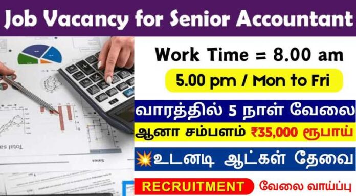 Senior Accountant Job 2024