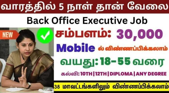 Back Office Executive Job 2024