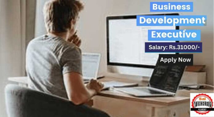 Business Development Executive Job 2024