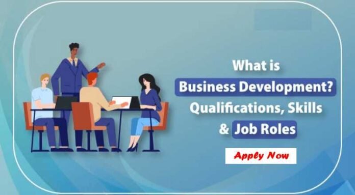 Business Development Executive Job 2024