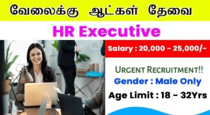 HR Executive Job 2024