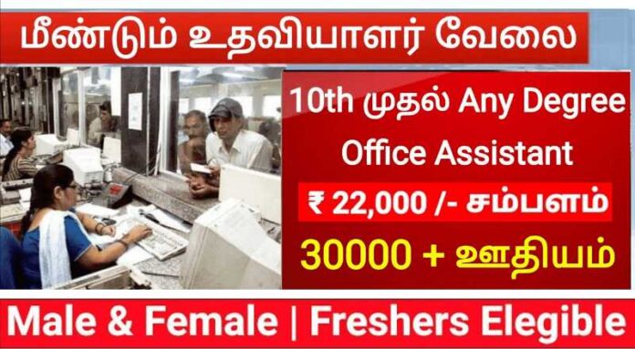 Office Staff Job 2024