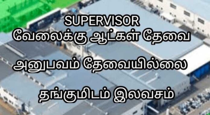 Supervisor Job 2024