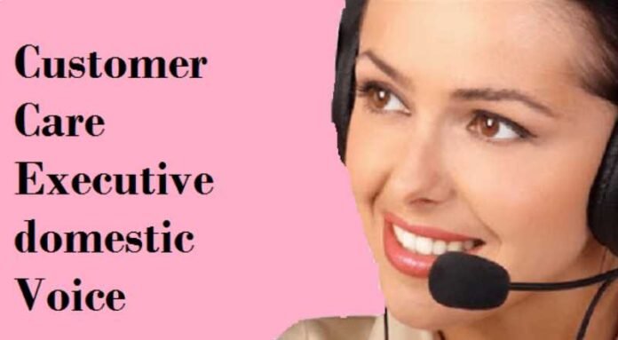 Customer Care Executive Job 2024