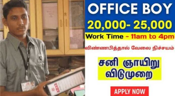 Office Boy Job 2024