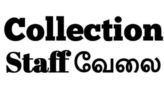 Collection Job 2024